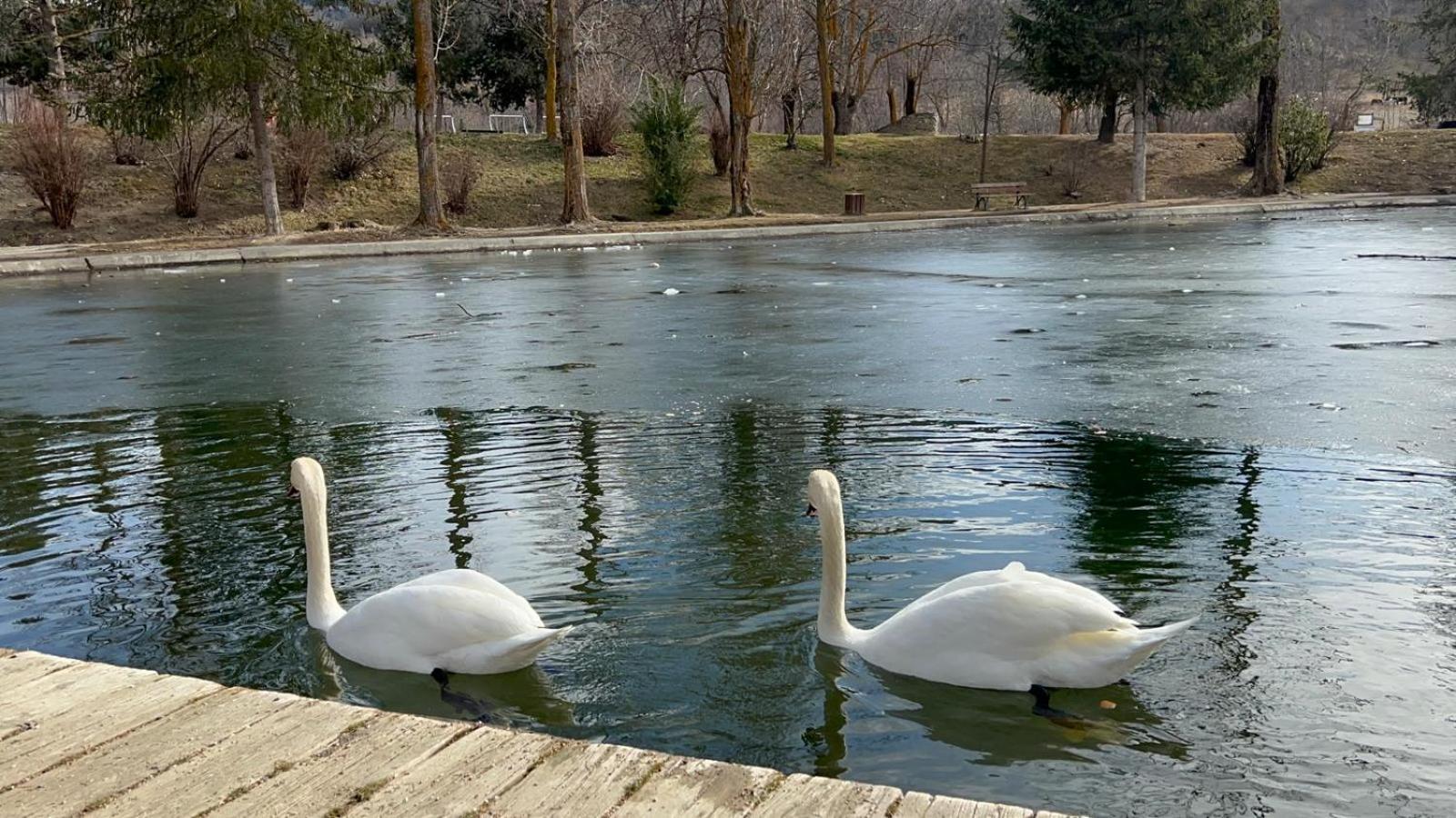 Apartament Del Llac Osséja Buitenkant foto